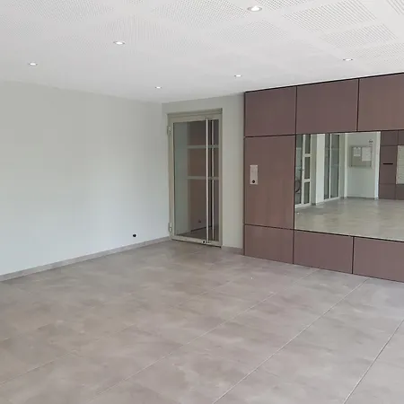 Cosy New Close To Airport, Un, Palexpo ! Апартаменты Ферней-Вольтер