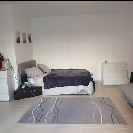 Cosy New Close To Airport, Un, Palexpo ! Apartmán *