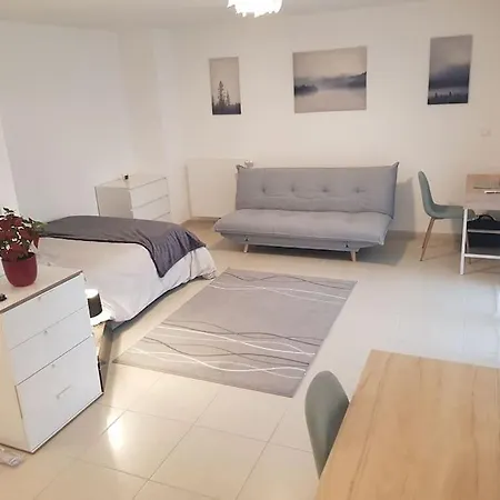 Apartmán Cosy New Close To Airport, Un, Palexpo ! Ferney-Voltaire