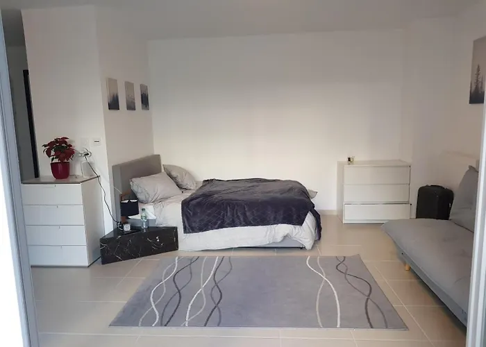Cosy New Close To Airport, Un, Palexpo ! Апартаменты *