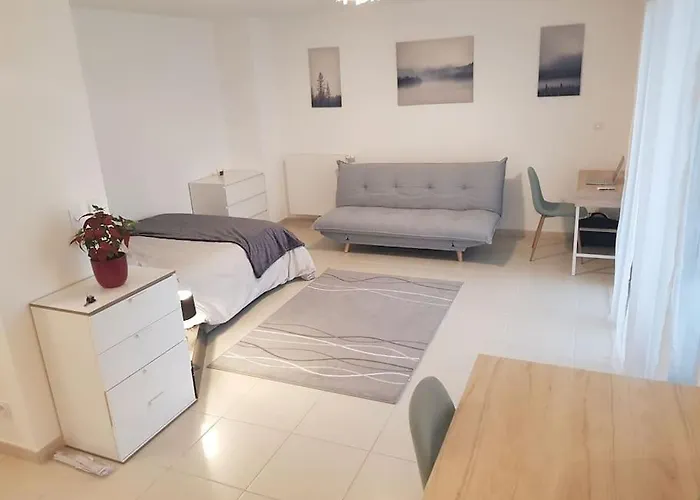 Апартаменты Cosy New Close To Airport, Un, Palexpo ! Ферней-Вольтер